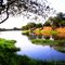 Vista parcial do Lago em Mogi Mirim sp f2 -Foto:Luciano Rizzieri