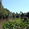 Rio Progresso