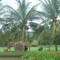 Carro de boi, Fazenda Rio Verde