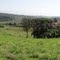Panoramica