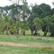 Estancia Santa Rita de Cassia,