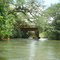 Ponte de arame
