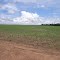 Cadastro de Compromisso Socioambiental - Fazenda Sempre Verde - Cadastrada desde 2010