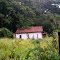 Casa Abandonada No Meio Da Floresta