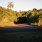 Estrada Vicinal Para O Bairro Córrego Do Meio