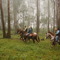 Cavalgada de Primeiro de Maio