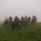 neblina pelo caminho