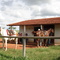 passeio a cavalo