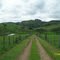 Fazenda Fartura - Tapiratiba SP