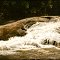 Cachoeira No Rio Tietê - Salesópolis  SP