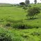 Aterro sanitário de Hortolândia