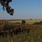 Paisagem Rural