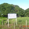 Faz. Renascer da Boa Vista