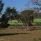 Zona Rural