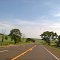 Pé na estrada