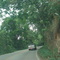Estrada para Monteiro Lobato