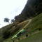 SERRA DO PILOTO, MANGARATIBA, RJ, BRASI