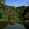 Represa (Rio Rubião)