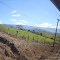 Travessia Pinda-Campos do Jordão - Crista da Mantiqueira ao fundo