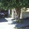 Casa do Dema