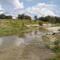 Mary's Creek