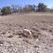 Fossil hunting