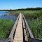 Marsh Broadwalk