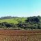 Panorâmica - Zona Rural II