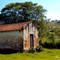 Capelinha no meio do mato - Faz. Água Parada
