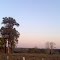 Goodnuny Pôr do Sol