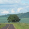 Estrada Serrana/Cravinhos