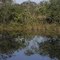 Lagoa - MS 347