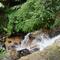 Cachoeira no Parque Ecológico
