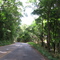 Rodovia Neguinho Fogaça