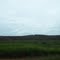 Paisagem rural