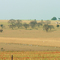 Cenário Rural
