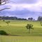 Cenário Rural (Pecuária)