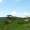 fazenda abandonada / ezamprogno