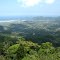 Alto do Mangalarga