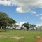 Fazenda em Campo Grande MS