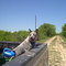 Aggie
