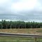 Bananal às margens da rodovia