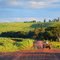 Farm machine