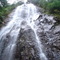 Pavuna