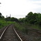 No caminho havia uma curva