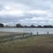 Cuero, park 2