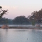 Early Morning Mist
