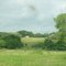 Morgan Farm