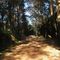 Estrada da Pousada - Atibaia - Brasil