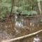 Nascente do Rio Pardo